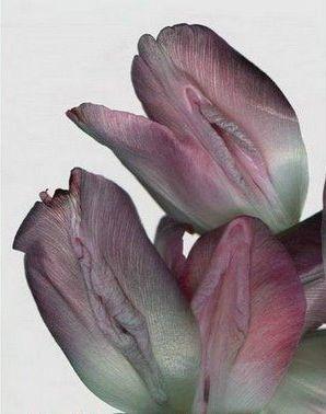 Întreaga lume a văzut ce CADOU a primit acest bărbat de ziua lui. Toţi amicii au vrut să îl atingă 133844