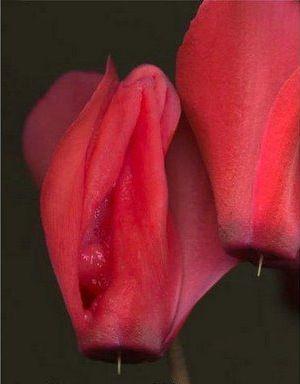 Întreaga lume a văzut ce CADOU a primit acest bărbat de ziua lui. Toţi amicii au vrut să îl atingă 133845