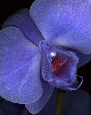 Întreaga lume a văzut ce CADOU a primit acest bărbat de ziua lui. Toţi amicii au vrut să îl atingă 133847