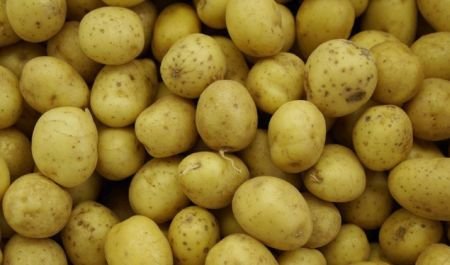 Românii preferă cartofii din export. Jumate din recolta românească de anul trecut ar putea ajunge la gunoi