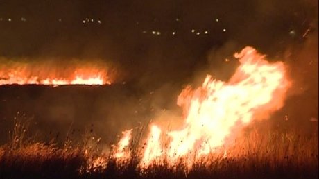 60 de hectare din rezervaţia naturală din Delta Dunării, transformate în cenuşă. Flăcările uriaşe au fost stinse după câteva ore
