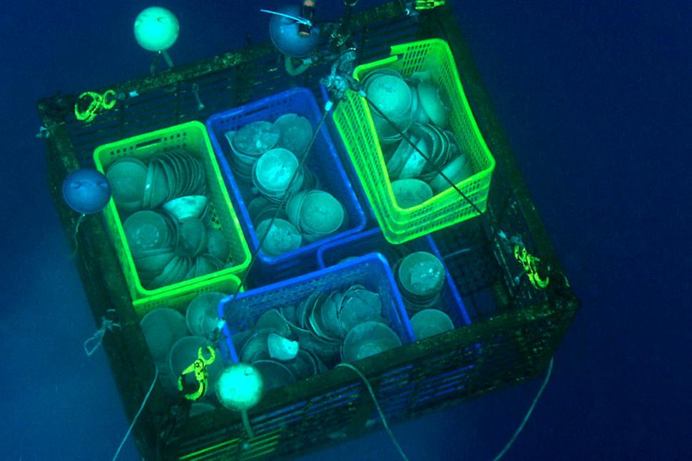 Fabuloasă comoară arheologică, veche de peste 1.000 de ani, scoasă la vânzare pentru 80 milioane dolari 134679