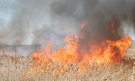 Puternic incendiu de vegetaţie la Drobeta-Turnu Severin. Circulaţia pe centura oraşului, oprintă