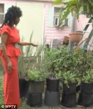 Frumuseţea ei păstrează secretul pe care îl doreşte orice femeie. Ea deţine cheia timpului, iar bărbaţii sunt fascinaţi de asta 134934