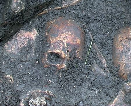 Descoperire macabră în Sibiu. Un craniu uman a fost găsit într-o mlaştină