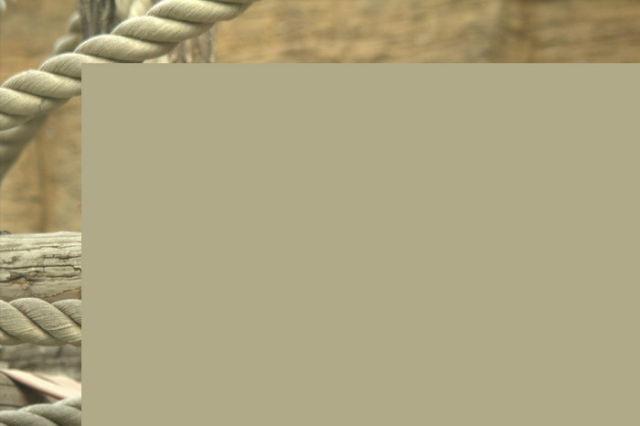 Pentru domnii care apreciază un bust generos. Imaginea le va face invidioase chiar şi pe cele mai dotate femei 135056