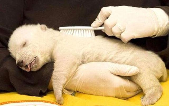 Imaginile care nu te vor mai lăsa să fii la fel după ce le-ai văzut. Cele mai puternice emoţii vor pune stăpânire pe sufletul tău 135227