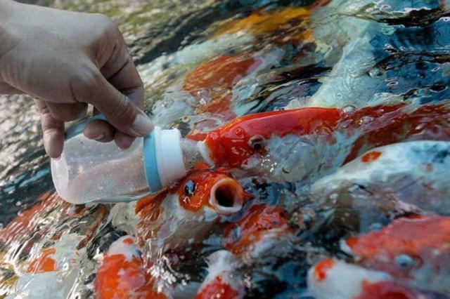 Imaginile care nu te vor mai lăsa să fii la fel după ce le-ai văzut. Cele mai puternice emoţii vor pune stăpânire pe sufletul tău 135236