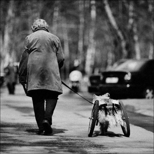 Imaginile care nu te vor mai lăsa să fii la fel după ce le-ai văzut. Cele mai puternice emoţii vor pune stăpânire pe sufletul tău 135241