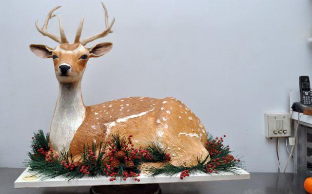 Torturile ei sunt pe masa tuturor personalităţilor americane 135932