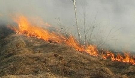 Fermierii care dau foc la mirişte ca să-şi cureţe terenurile pierd subvenţiile de la stat