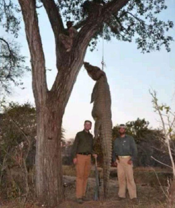 Cum alungă miliardarii plictiseala. Cruzimea fiilor lui Donald Trump a oripilat internetul 136315