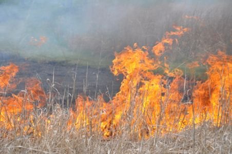 Alba: O femeie a decedat într-un incendiu pe care l-a provocat singură pentru igienizarea unui teren