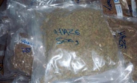 Hunedoara: Şapte persoane suspectate pentru vânzarea a 2 kg de cannabis, reţinute pentru trafic cu droguri de risc