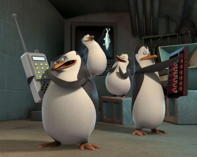 &quot;Just smile and wave, boys&quot; - varianta reală. Transmisie video non-stop, cu pinguini