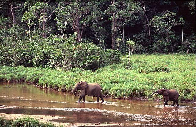 10 locuri uimitoare vor dispărea de pe faţa Pământului 137505