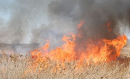 Focurile lăsate nesupravegheate fac PRĂPĂD. Hectare întregi de vegetaţie au ars. Casele oamenilor, în pericol 