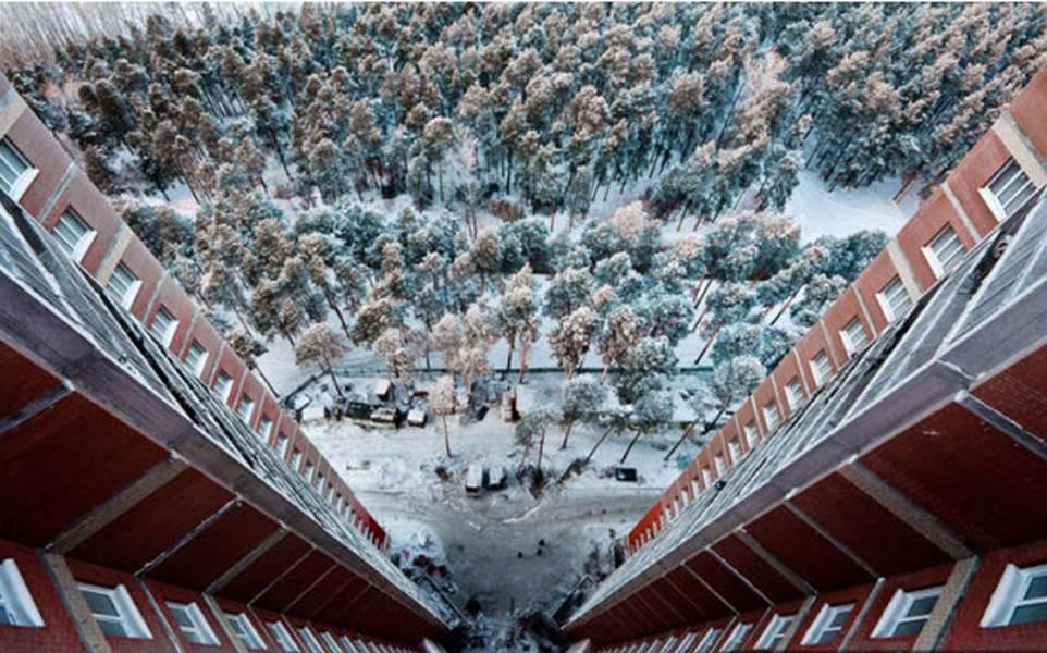 Omul care imortalizează viaţa la înălţime 138150