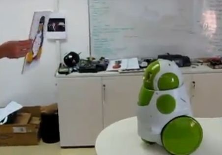 Uite reacţia unui robot care se vede pentru prima dată în oglindă