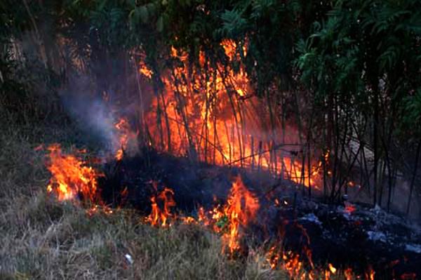 Arde ţara. Sute de hectare de vegetaţie uscată, cuprinse de flăcări. Dezastrul natural, fără margini