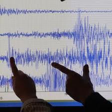 Cutremur puternic cu magnitudinea de 7,2, în Chile. 7.000 de persoane, evacuate de pe litoral