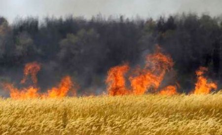 Incendiu de proporţii pe dealurile din satul Pâclele, Buzău. Localnicii au sărit să dea o mână de ajutor pompierilor