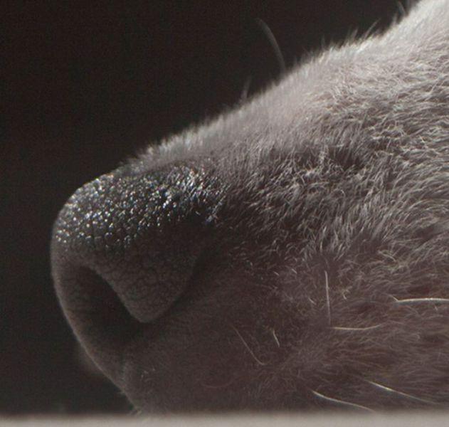 Fotografiile care au învins timpul. Sunt atât de speciale pentru că deţin un secret vechi de 100 de ani 139091