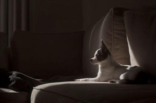 Fotografiile care au învins timpul. Sunt atât de speciale pentru că deţin un secret vechi de 100 de ani 139092