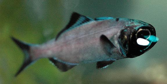 Imagini impresionante care demonstrează că Dumnezeu rămâne cel mai mare Creator 139124