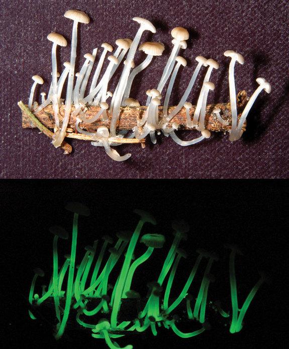 Imagini impresionante care demonstrează că Dumnezeu rămâne cel mai mare Creator 139125