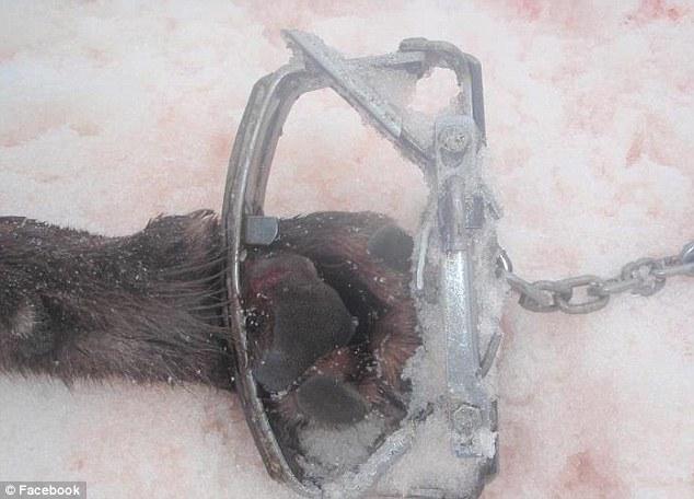 &quot;VOI URMAŢI!&quot; Imaginile şocante care au împărţit lumea în două 139871