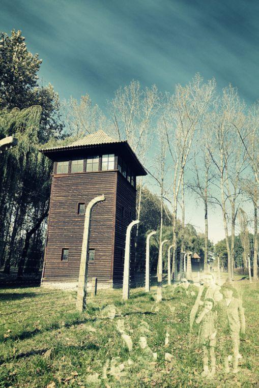 Fantomele de la Auschwitz. Locul unde moartea se simţea ca acasă. &quot;Mama a fost trimisă în stânga. Nu am mai văzut-o niciodată&quot; 140055