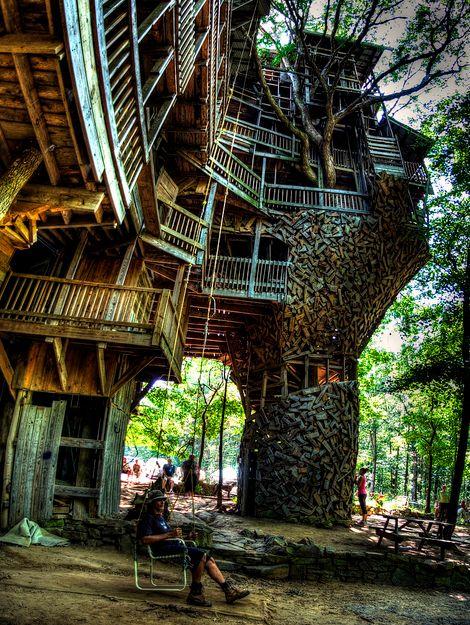 I-a luat 15 ani să-şi îndeplinească visul. Acum trăieşte în copac şi este foarte fericit 139978