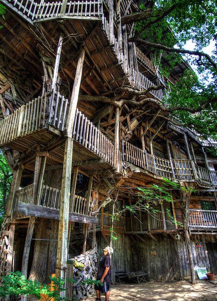 I-a luat 15 ani să-şi îndeplinească visul. Acum trăieşte în copac şi este foarte fericit 139979