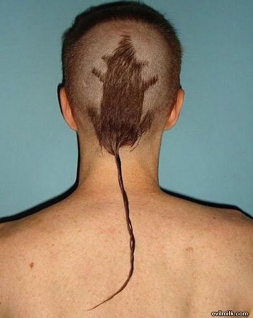 Vezi aici cele mai ciudate tunsori din lume 140042