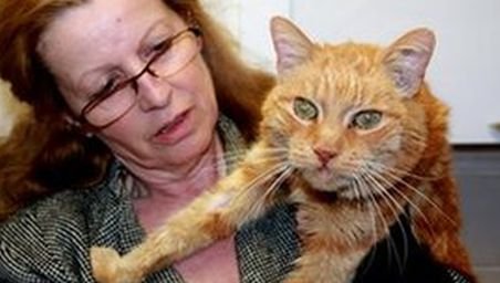 Incredibil! O femeie din Germania şi-a regăsit pisica după 15 ani de căutări