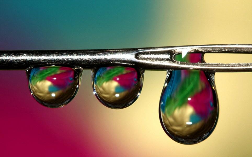 Vezi aici cum arată natura de aproape! 140792