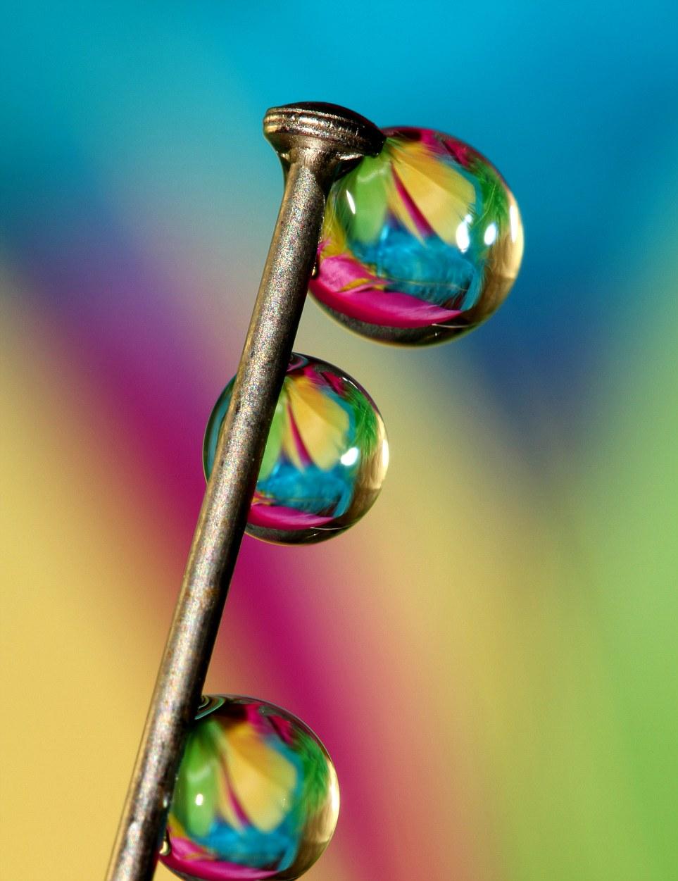 Vezi aici cum arată natura de aproape! 140796