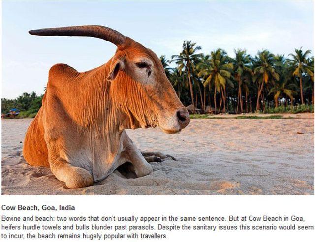 Peisajul superb care pare ireal. Nimeni nu a modificat ceva la această imagine 141020