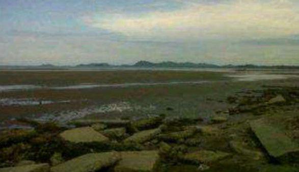 S-a despicat pământul. Fotografii din Indonezia, realizate imediat după cutremur 141450