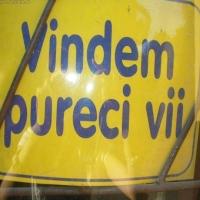 Imaginile care demonstrează că suntem unici pe Planetă. &quot;Eterna Românie&quot; în fotografiile care au făcut istorie 141537