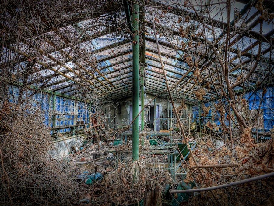 Locul unde niciun ceas nu mai bate, iar moartea domneşte peste tot. Omenirea a privit evenimentul cu teroare 141842