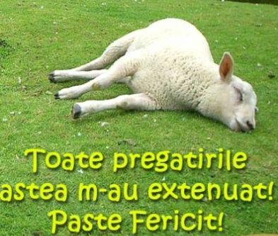 Zâmbeşte! Uite topul celor mai tari urări de Paşte 141951