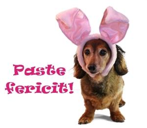 Zâmbeşte! Uite topul celor mai tari urări de Paşte 141952