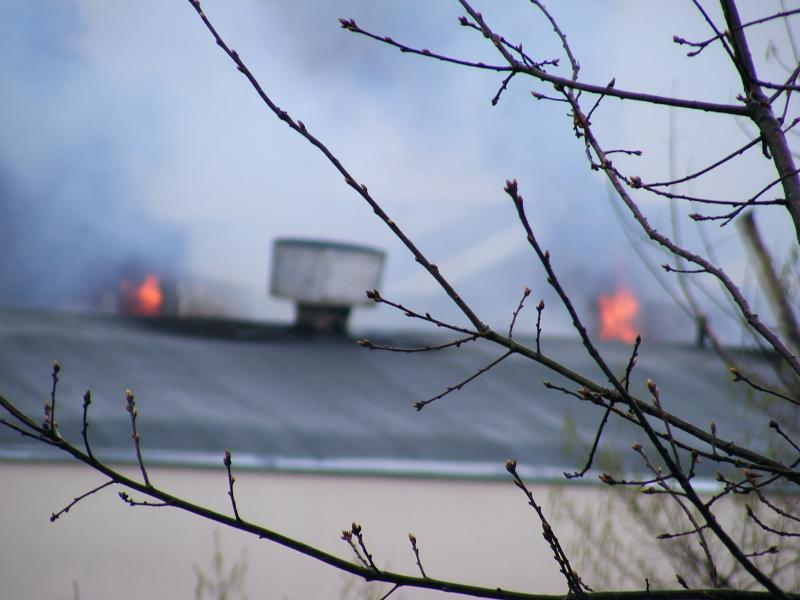 Imagini de la incediul de proporții care a distrus complexul comercial Siraj din Iași 141999