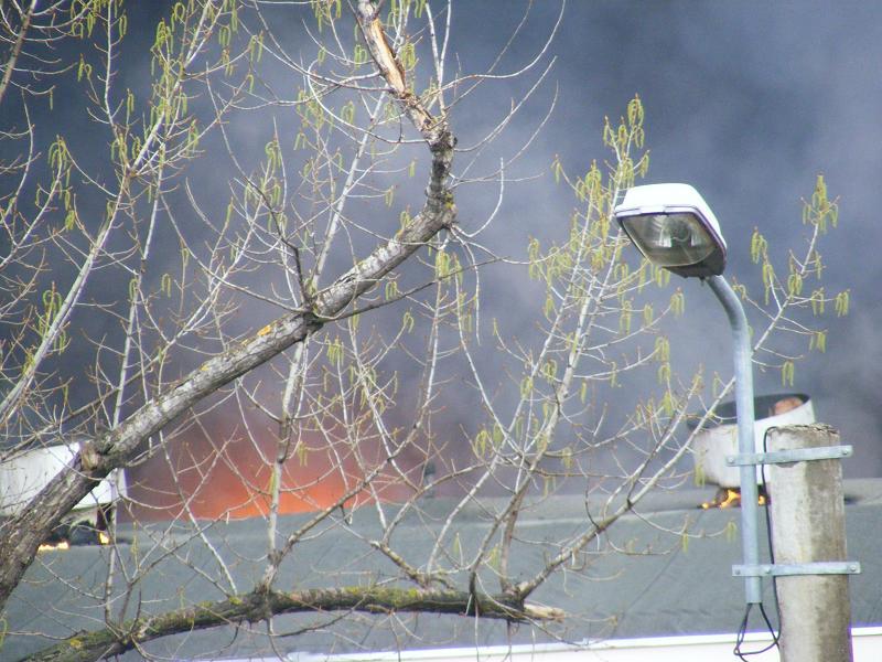 Imagini de la incediul de proporții care a distrus complexul comercial Siraj din Iași 142009