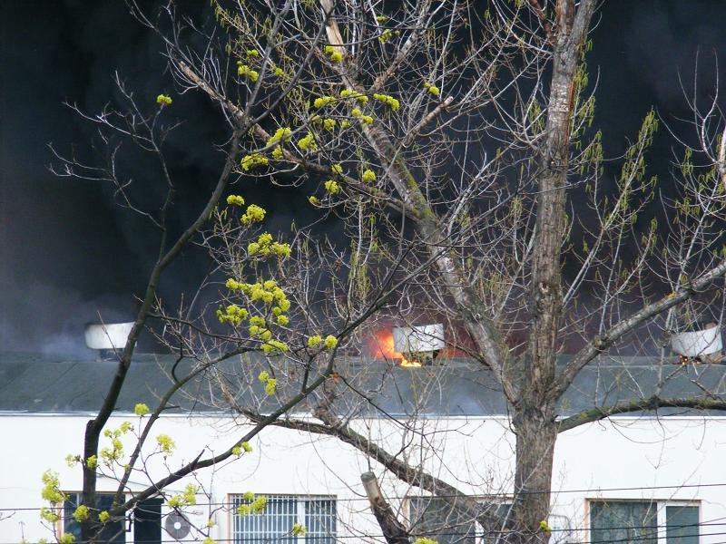 Imagini de la incediul de proporții care a distrus complexul comercial Siraj din Iași 142020