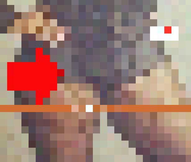 Se vrea HOT! Ea e vedeta care se laudă cu ce are între picioare 142335