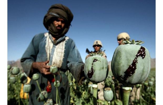 Persistă ameninţarea terorismului şi a drogurilor din Afganistan