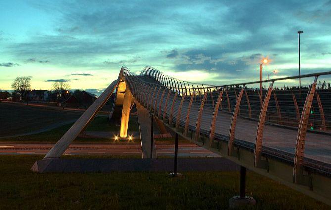 Schiţele lui Leonardo Da Vinci se trezesc la viaţă. Norvegienii utilizează deja un pod proiectat de artistul renascentist 142507